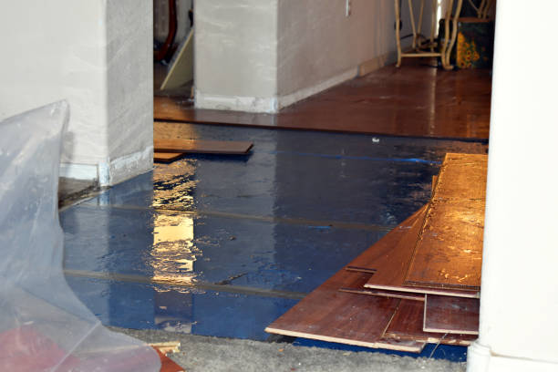 Professional Water Extraction technician working in Alto, MI